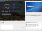 Tiling window manager Slackware NetBeans